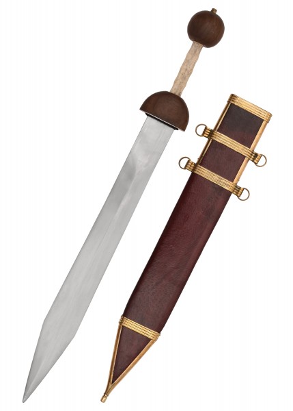 Detailaufnahme eines Gladius, des Schwerts der römischen Legionäre, mit brauner lederumwickelter Scheide. Das Schwert hat eine polierte Klinge, einen runden Griff und Verzierung aus Metall an der Scheide.
